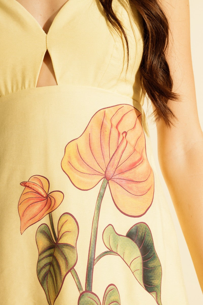 Short Dress Loose in the Sun